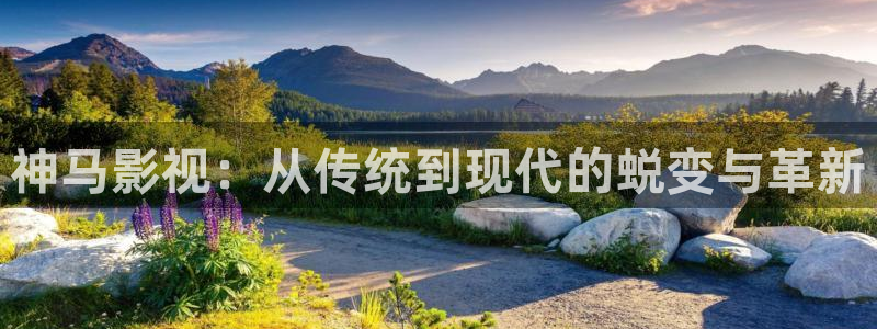 悟空快看视频：神马影视：从传统到现代的蜕变与革新