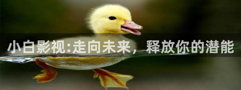 悟空影视免费观看视频 mp4：小白影视:走向未来，释放你的潜能