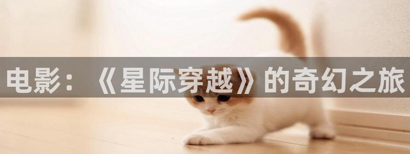 孙悟空动作视频大全：电影：《星际穿越》的奇幻之旅